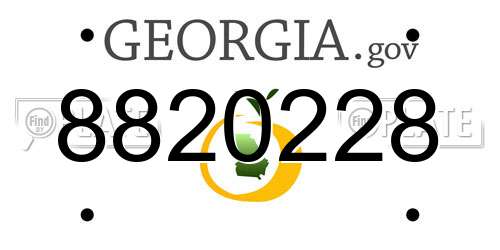 8820228 Georgia License Plate