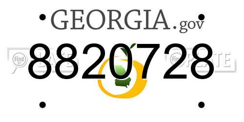 8820728 Georgia License Plate