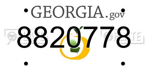 8820778 Georgia License Plate