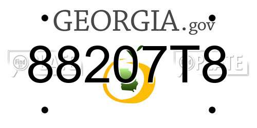 88207T8 Georgia License Plate