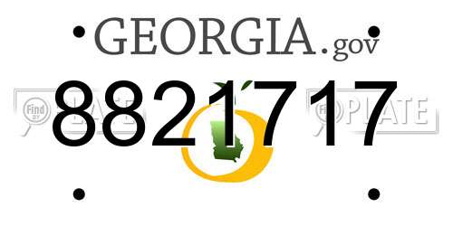 8821717 Georgia License Plate