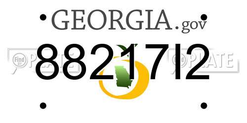 88217I2 Georgia License Plate