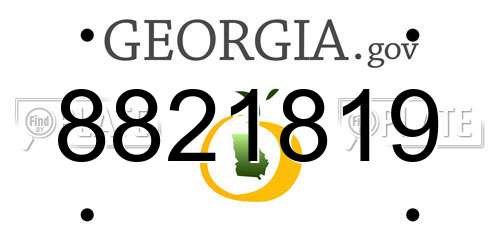 8821819 Georgia License Plate