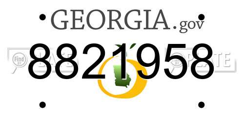 8821958 Georgia License Plate