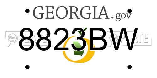 8823BW Georgia License Plate