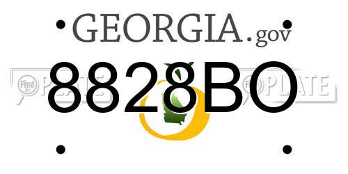 8828BO Georgia License Plate