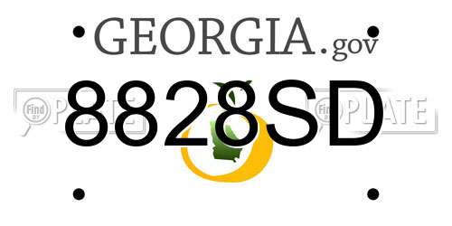 8828SD Georgia License Plate