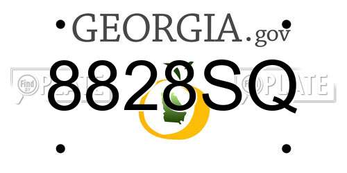 8828SQ Georgia License Plate