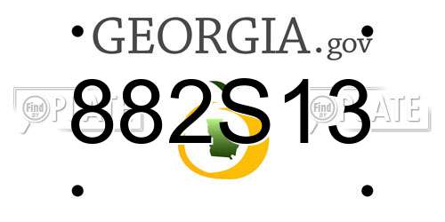 882S13 Georgia License Plate