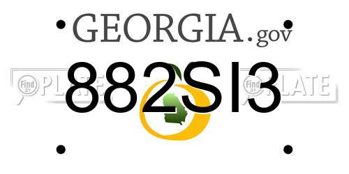 882SI3 Georgia License Plate