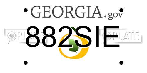 882SIE Georgia License Plate