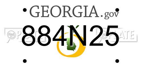 884N25 Georgia License Plate