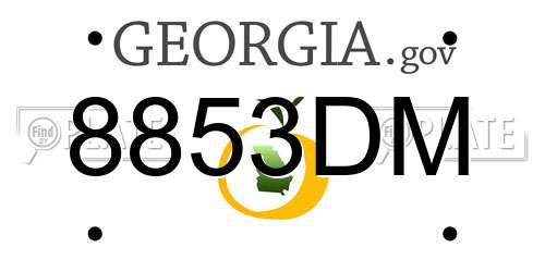 8853DM Georgia License Plate