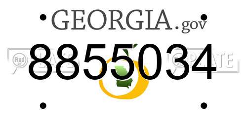 8855034 Georgia License Plate