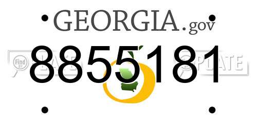8855181 Georgia License Plate