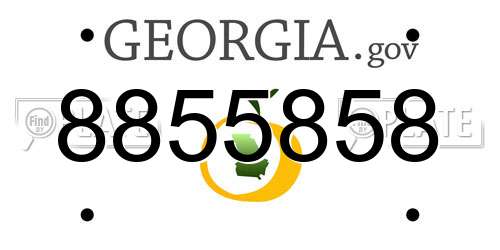 8855858 Georgia License Plate