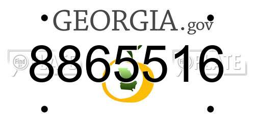 8865516 Georgia License Plate