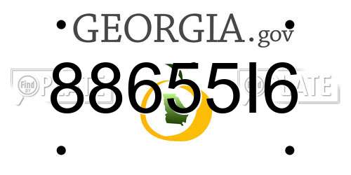 88655I6 Georgia License Plate