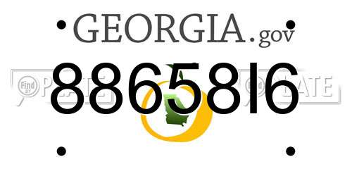 88658I6 Georgia License Plate