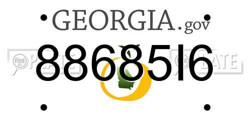 88685I6 Georgia License Plate