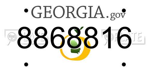 8868816 Georgia License Plate