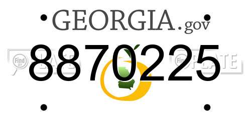 8870225 Georgia License Plate