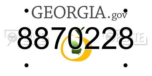 8870228 Georgia License Plate