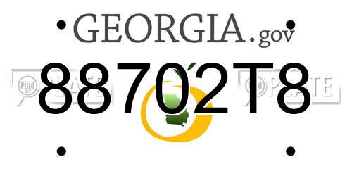 88702T8 Georgia License Plate
