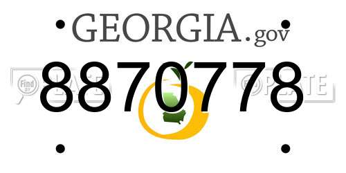 8870778 Georgia License Plate
