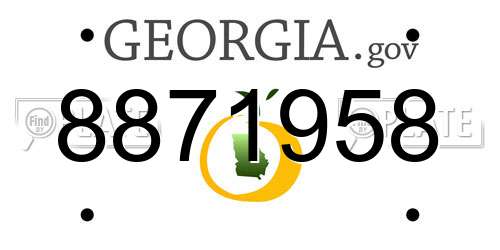 8871958 Georgia License Plate