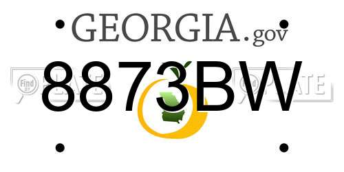 8873BW Georgia License Plate