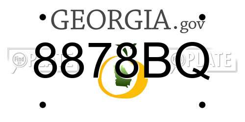 8878BQ Georgia License Plate