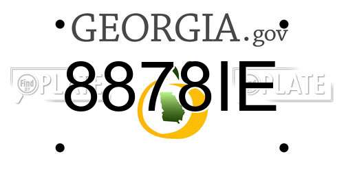 8878IE Georgia License Plate