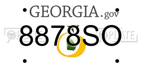 8878SO Georgia License Plate