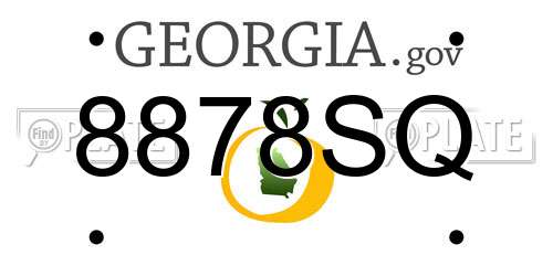 8878SQ Georgia License Plate