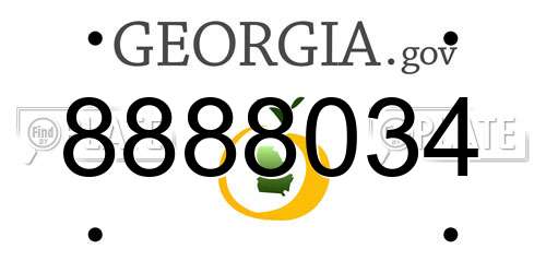 8888034 Georgia License Plate