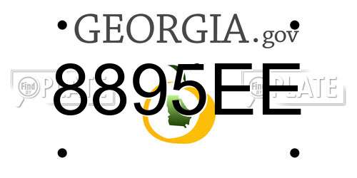 8895EE Georgia License Plate