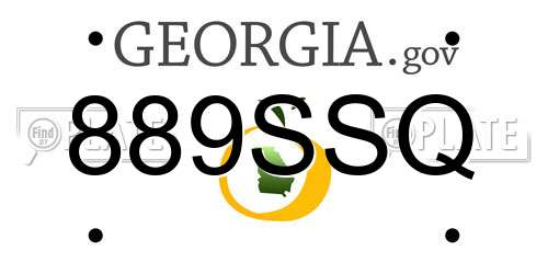 889SSQ Georgia License Plate