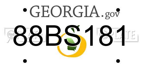 88BS181 Georgia License Plate