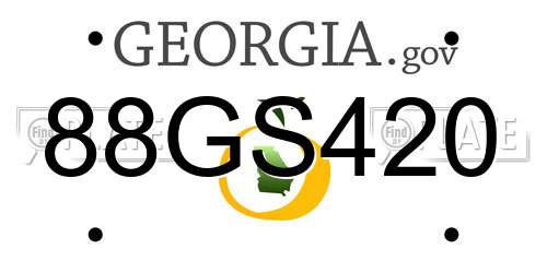 88GS420 Georgia License Plate
