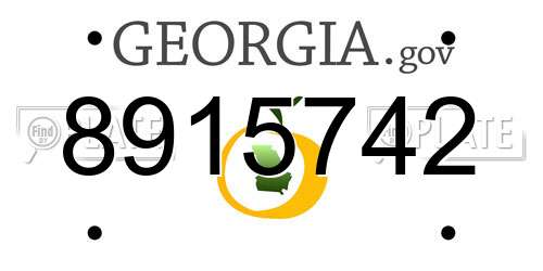 8915742 Georgia License Plate