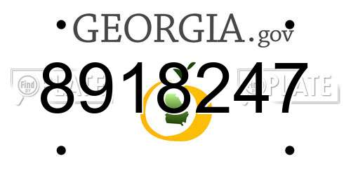 8918247 Georgia License Plate