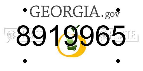 8919965 Georgia License Plate