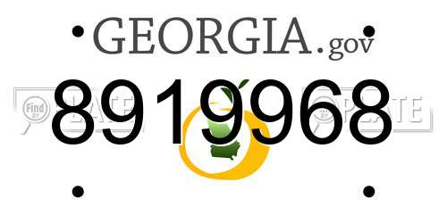 8919968 Georgia License Plate