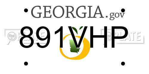 891VHP Georgia License Plate