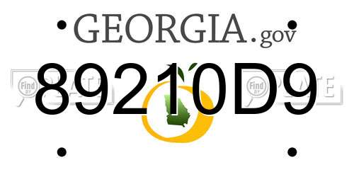 89210D9 Georgia License Plate