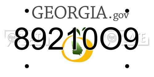 89210O9 Georgia License Plate