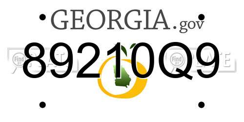 89210Q9 Georgia License Plate