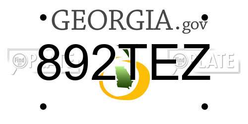 892TEZ Georgia License Plate