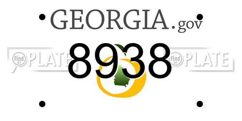 8938 Georgia License Plate